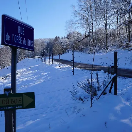 بيت للعطل A L'oree Du Bois Dommartin-lès-Remiremont