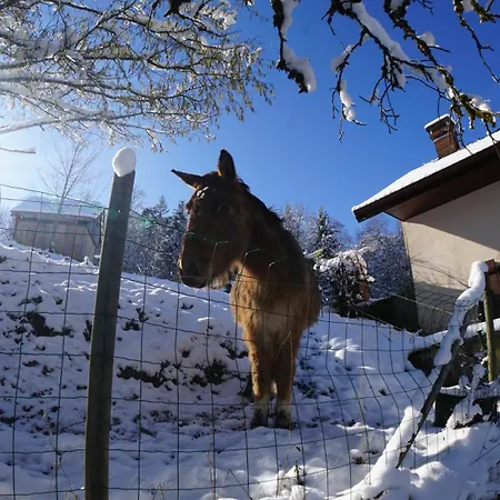 Feriehus A L'oree Du Bois *