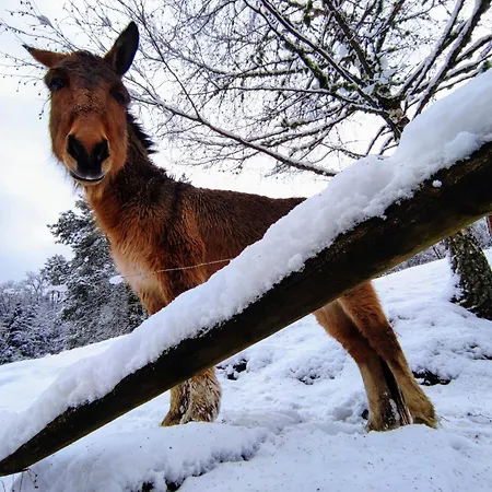 A L'oree Du Bois Nyaraló Dommartin-lès-Remiremont