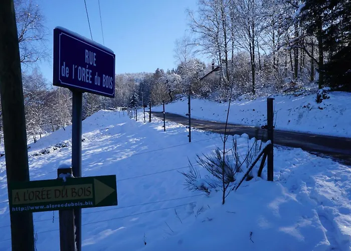 Vakantiehuis A L'oree Du Bois Dommartin-lès-Remiremont