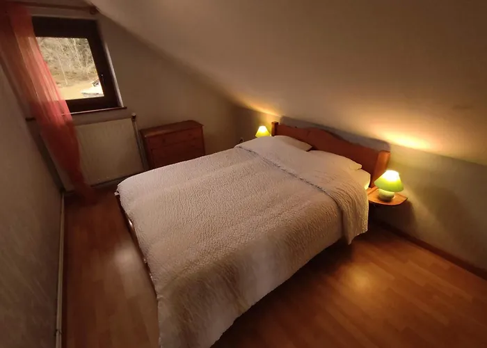 Vakantiehuis A L'oree Du Bois