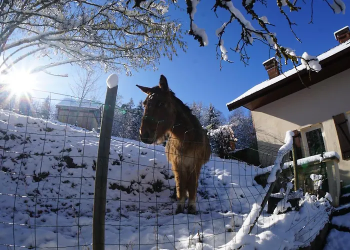 Hébergement de vacances A L'orée Du Bois *