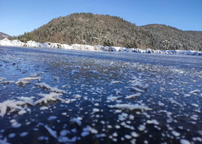 Hébergement de vacances A L'orée Du Bois Dommartin-lès-Remiremont