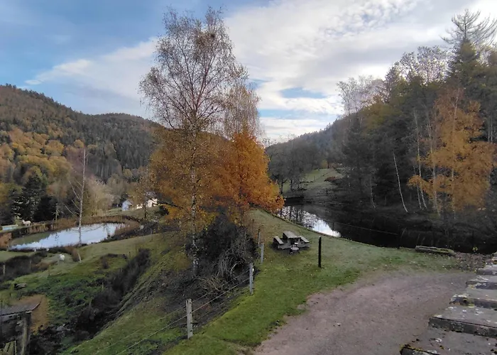 Hébergement de vacances A L'orée Du Bois