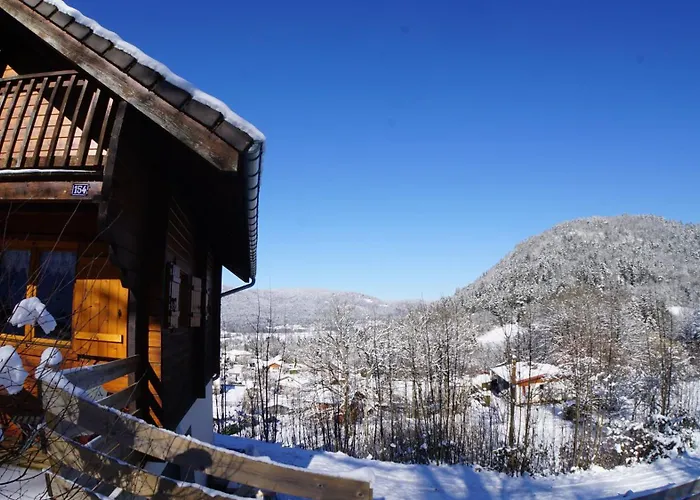 Vakantiehuis A L'oree Du Bois *