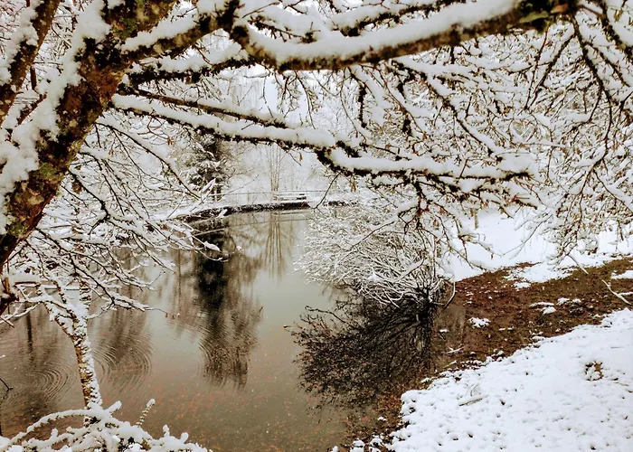 Vakantiehuis A L'oree Du Bois *