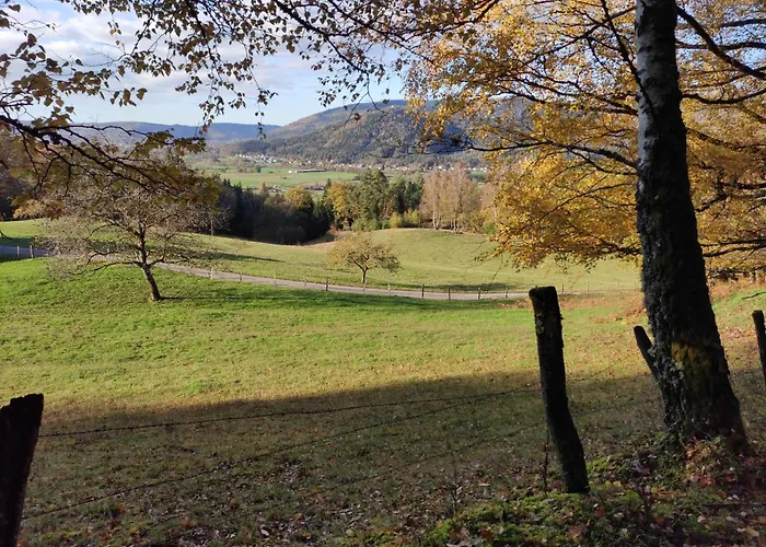 A L'orée Du Bois Hébergement de vacances *